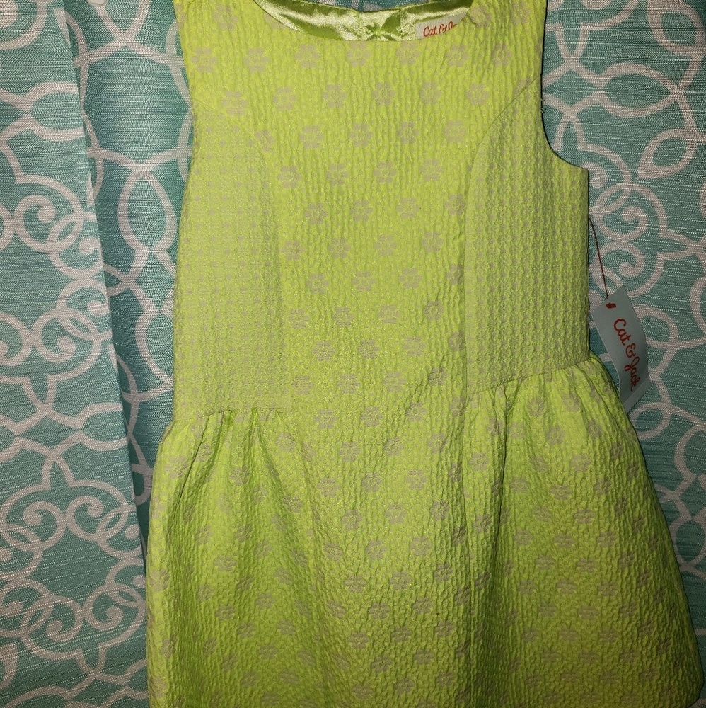 Cat & Jack Dress